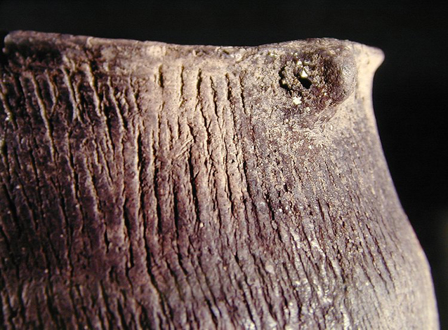 Close-up of perforated node from a Keyser vessel from the Keyser Farm site, 44PA1. SI Cat.# 382985-Courtesy of the Smithsonian Institution, Museum of Natural History, Department of Anthropology.